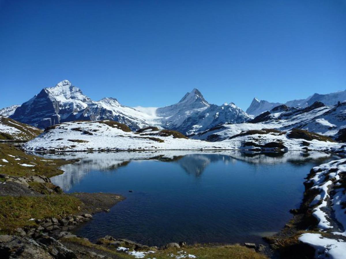 Luxury, New - Amazing Views Grindelwald Eiger Jungfrau Moench Apartment ภายนอก รูปภาพ