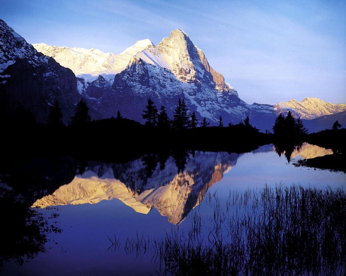 Luxury, New - Amazing Views Grindelwald Eiger Jungfrau Moench Apartment ภายนอก รูปภาพ